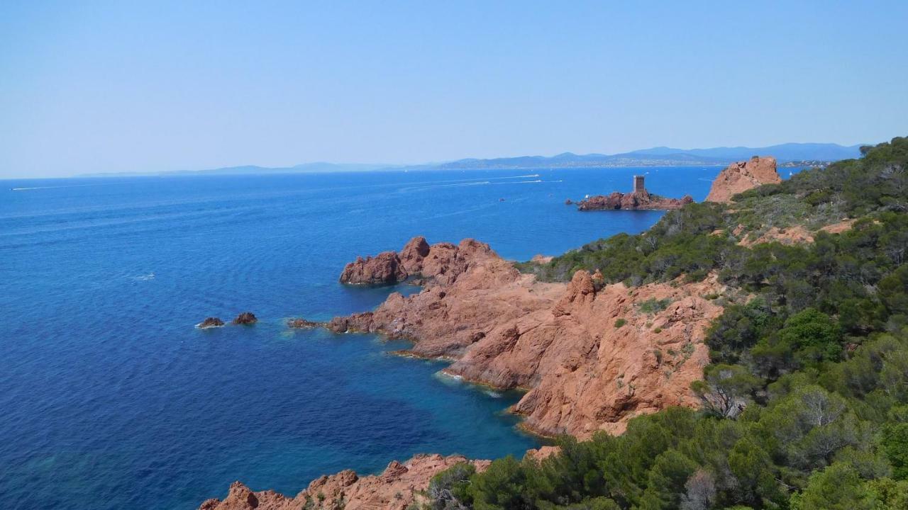 Grand Appartement Dans Maison Avec Piscine Privee Fréjus Dış mekan fotoğraf